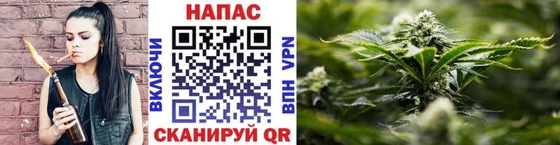 Купить наркотики Новоалтайск Alpha-PVP  БУТИРАТ  АМФЕТАМИН  COCAIN  Бошки Шишки  Мефедрон 
