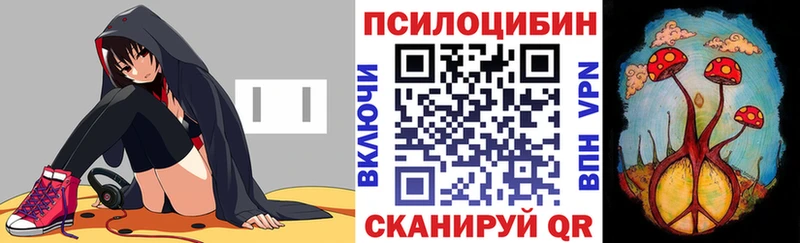 Псилоцибиновые грибы Magic Shrooms  закладки  mega tor  Новоалтайск 